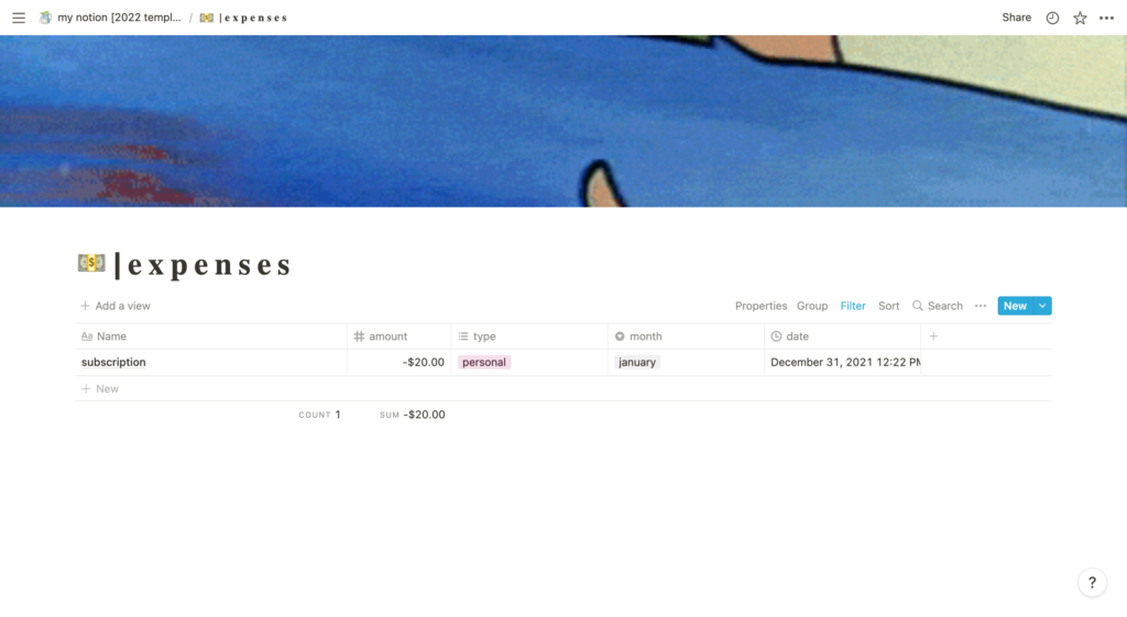 Notion expense tracker