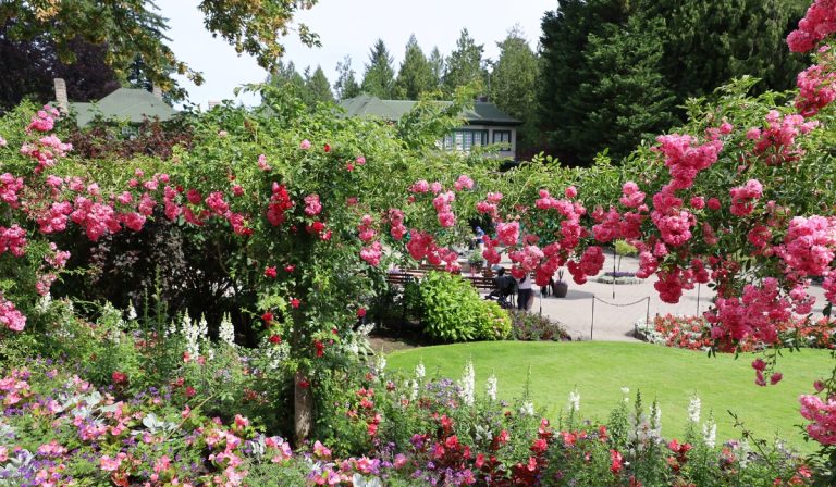 Complete Guide to Visiting Canada in August