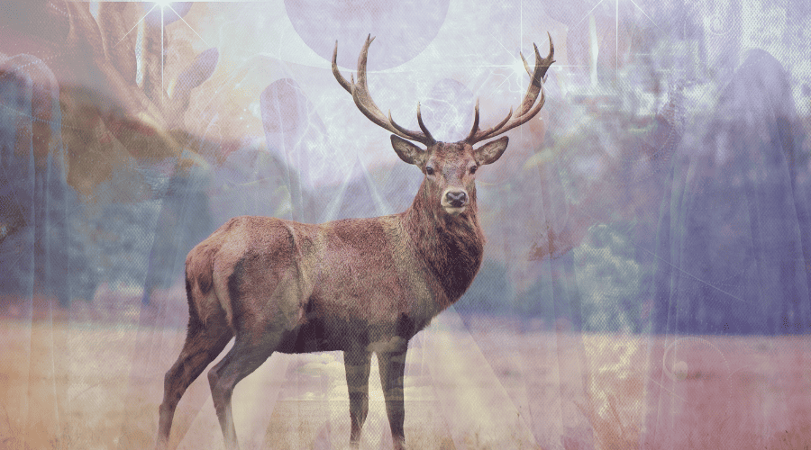 The Spiritual Meaning of Deer for Twin Flames