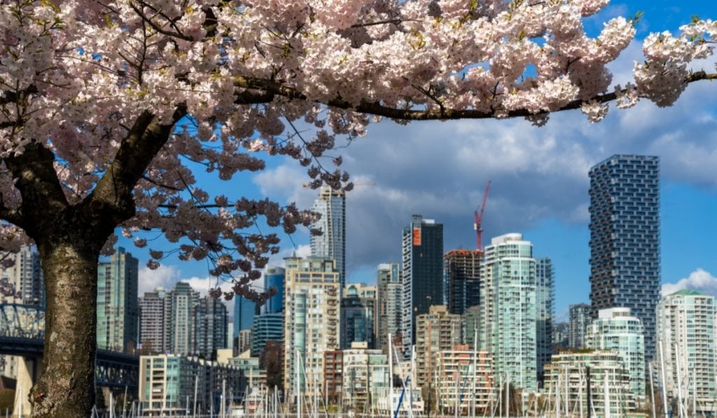 Canada In March Epic Spring Break Destinations