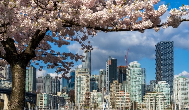 Canada In March Epic Spring Break Destinations