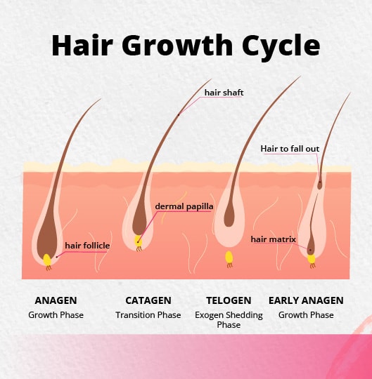 How Hair Cycles Affect Your Waxing Game
