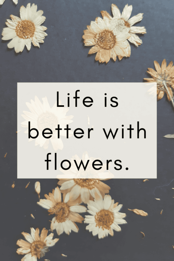 2 Flower Quotes and Flower Captions