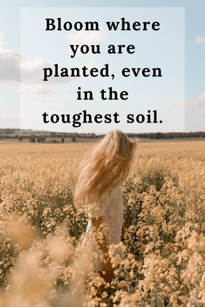 4 Flower Quotes and Flower Captions