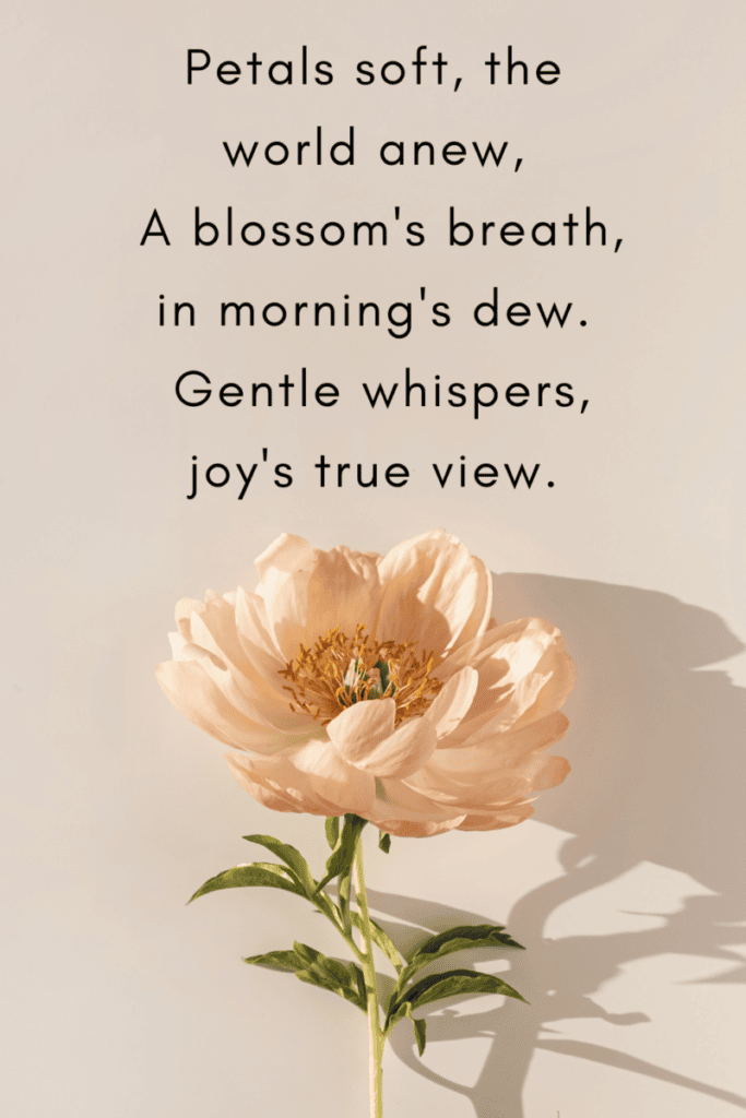 6 Flower Quotes and Flower Captions