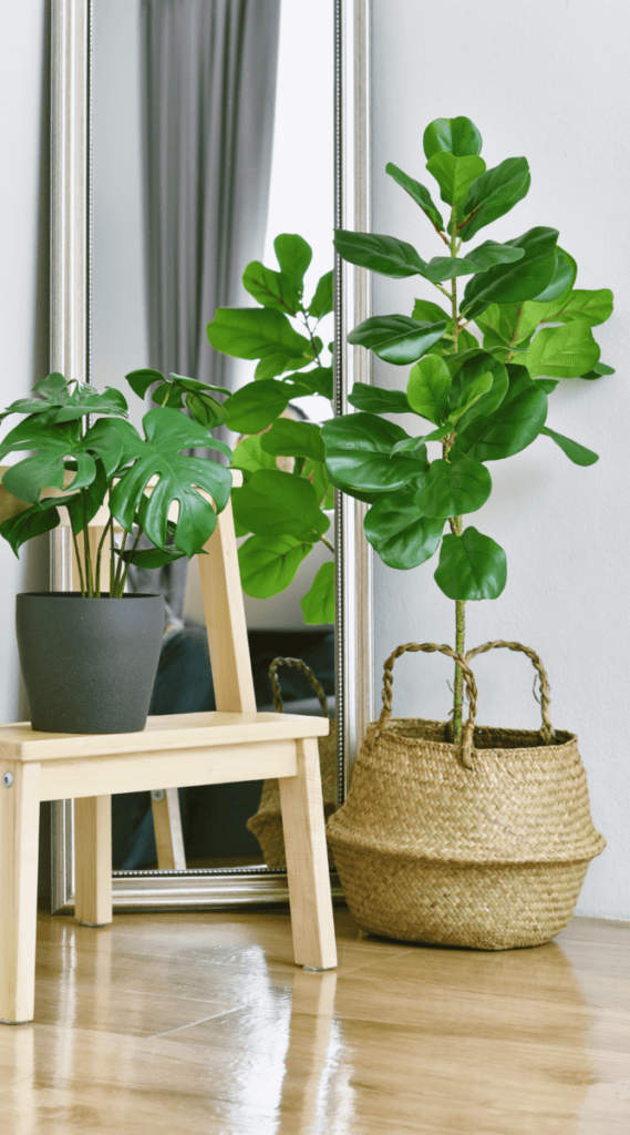 10 5 College Apartment Living Room Decor Ideas