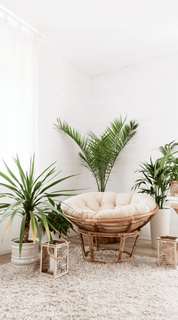 16 5 College Apartment Living Room Decor Ideas