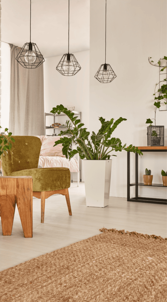 20 5 College Apartment Living Room Decor Ideas