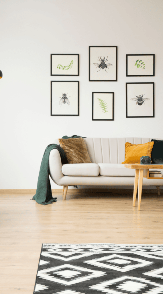 28 3 College Apartment Living Room Decor Ideas