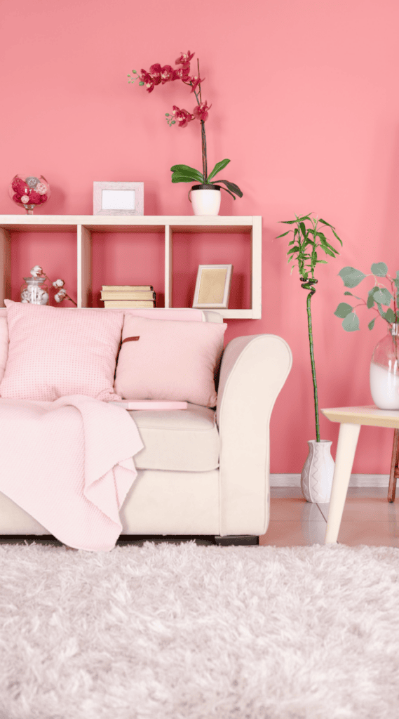 3 15 College Apartment Living Room Decor Ideas