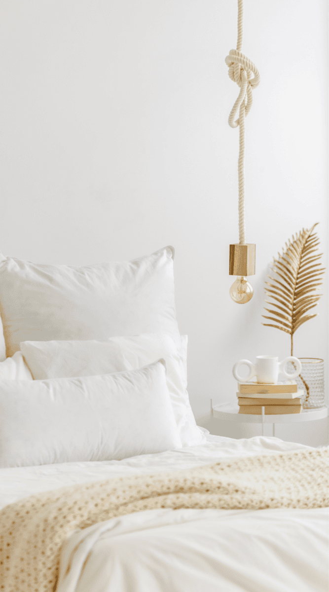 Hack The College Textbook: Save Money Like A Pro