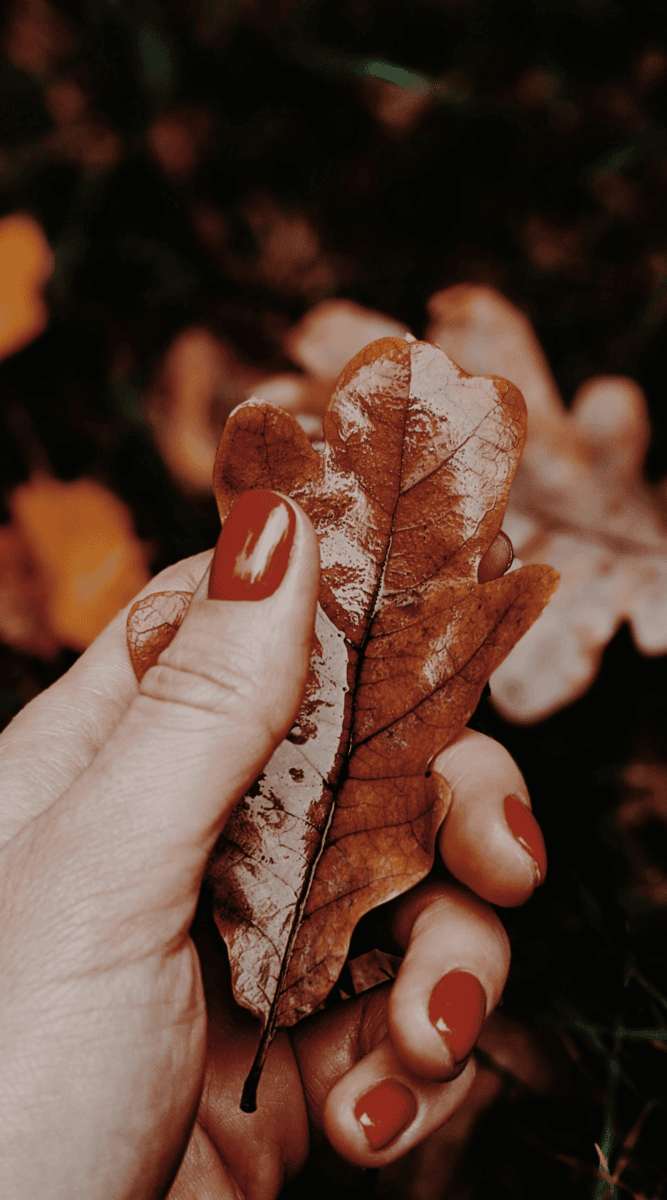 6 Books Every Student Should Read