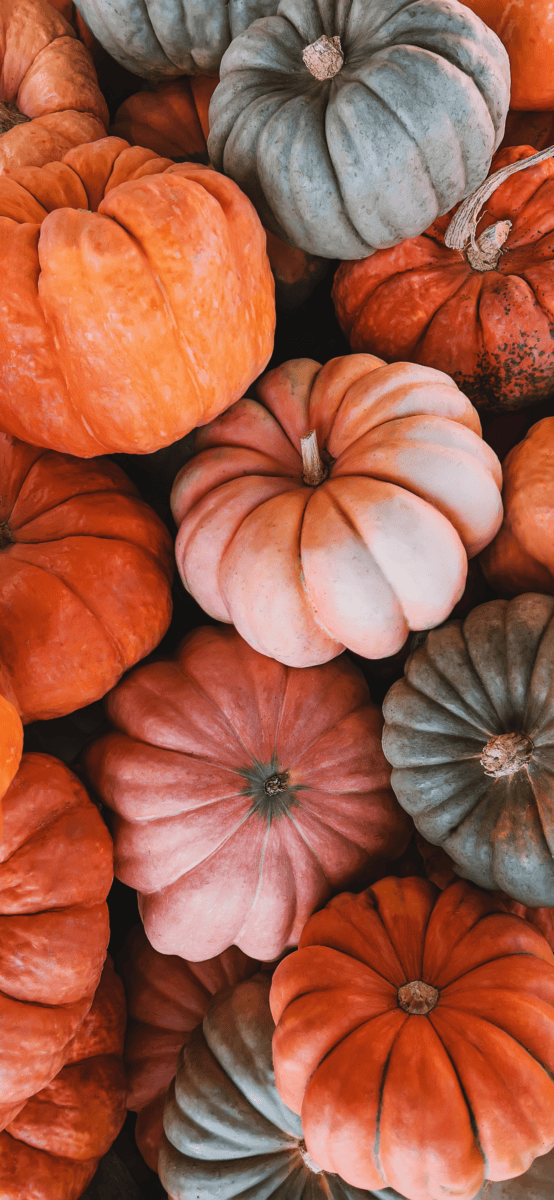 Where To Put Study Abroad On Resume