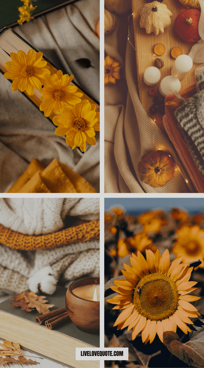 25 Stocking Stuffers For College Students