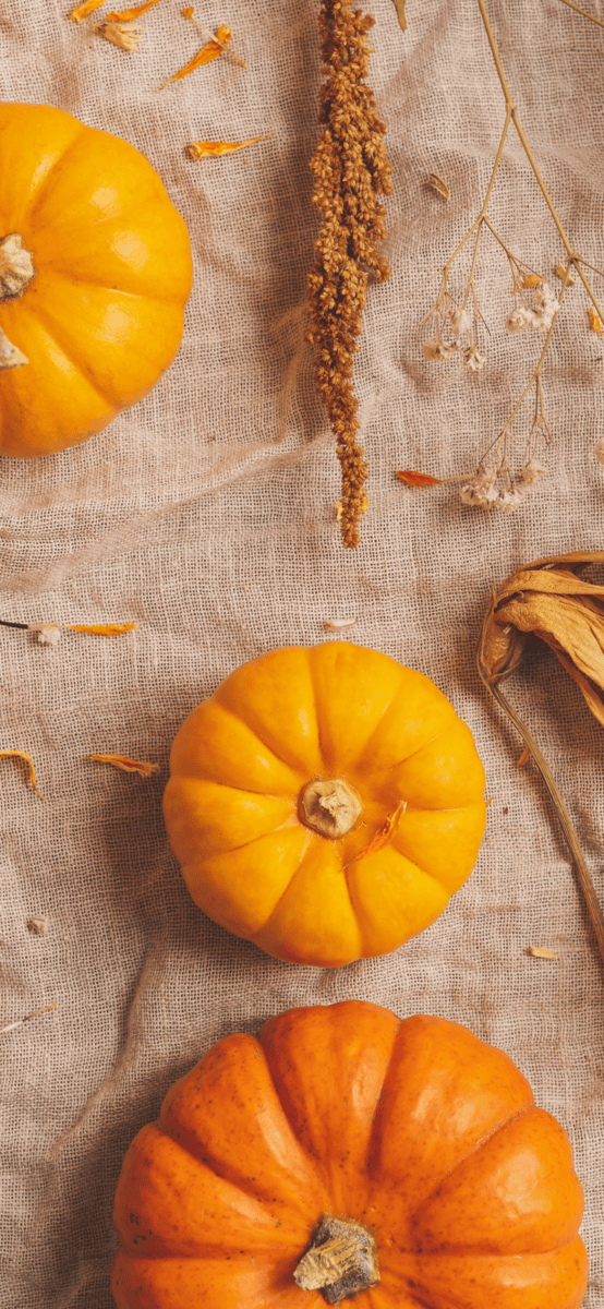 Does Notion Work Offline?