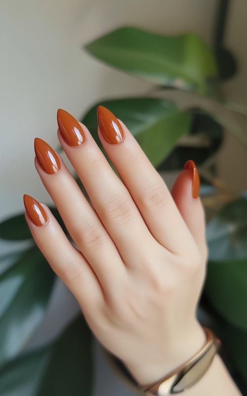 Burnt Orange Nails Perfect for Fall