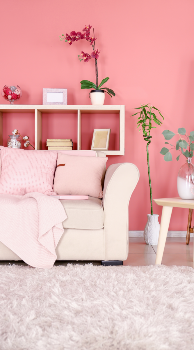 Pretty Living Room Ideas (Living Room Designs)