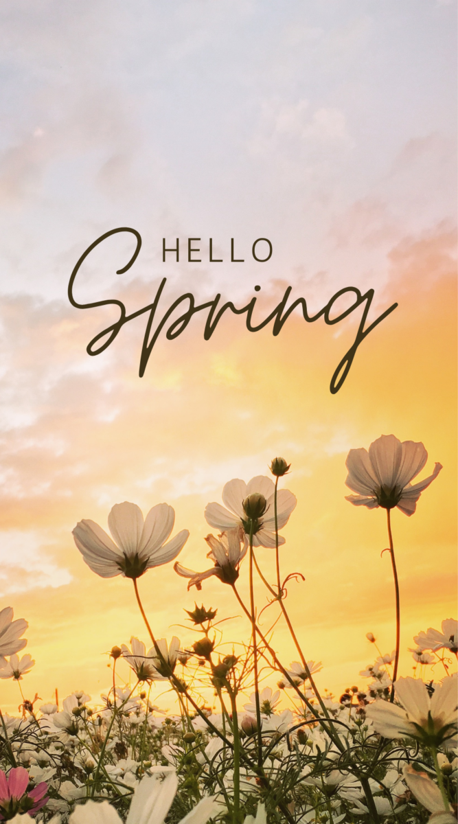 Cute Spring Wallpaper Phone Aesthetic