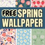 free spring wallpaper for your phone