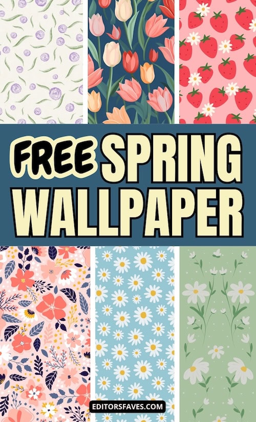 free spring wallpaper for your phone