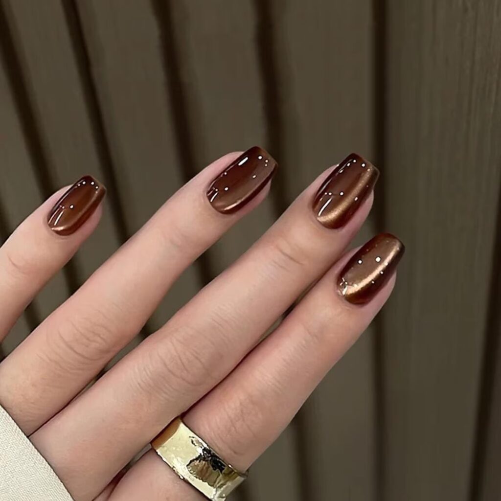 3 1 Sleek & Stylish Brown Nails