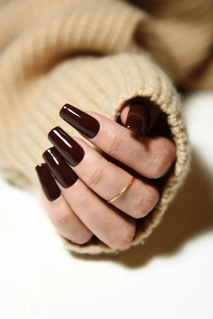 6 3 Sleek & Stylish Brown Nails