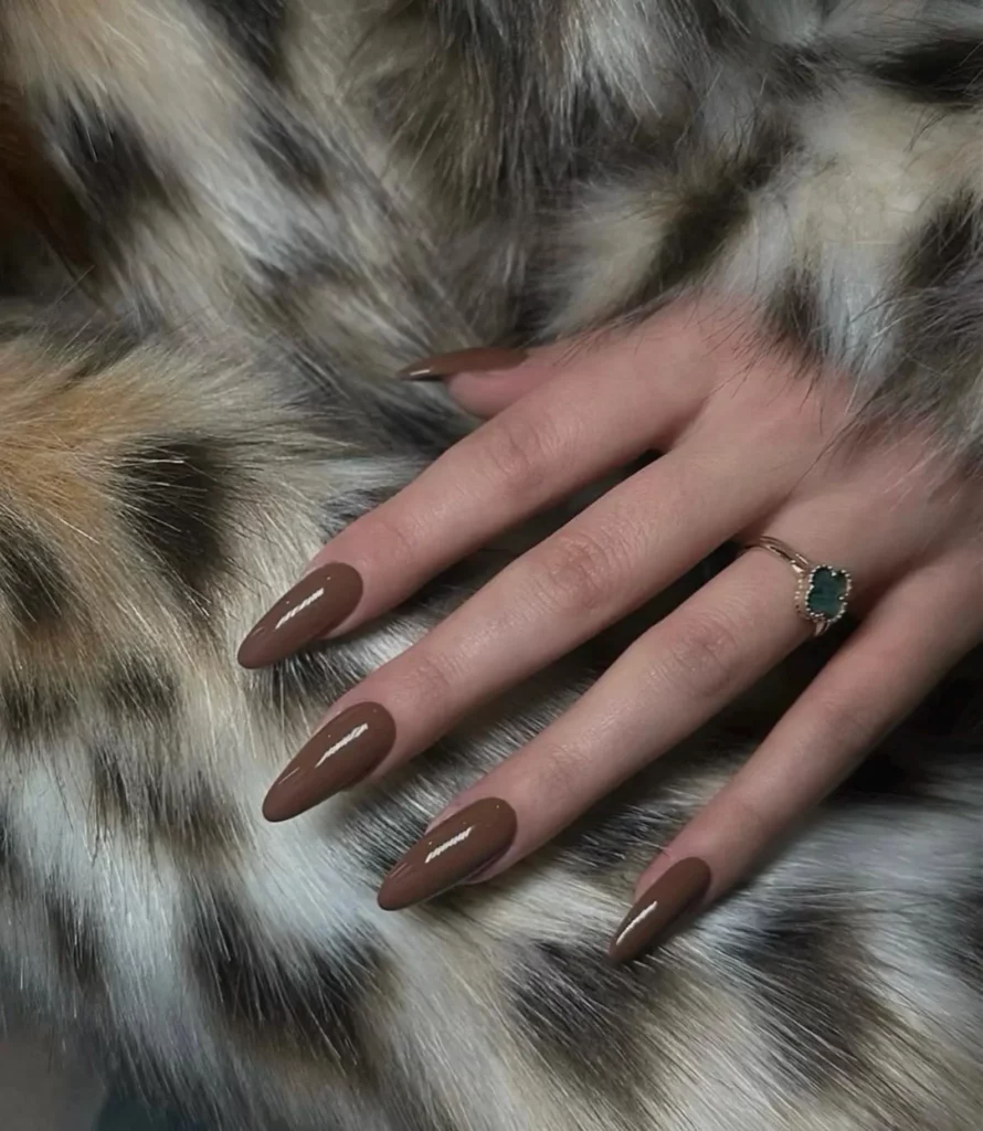 9 4 Sleek & Stylish Brown Nails
